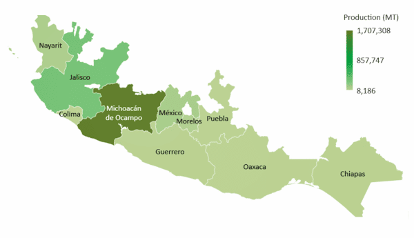 Exportación de Aguacates Mexicanos